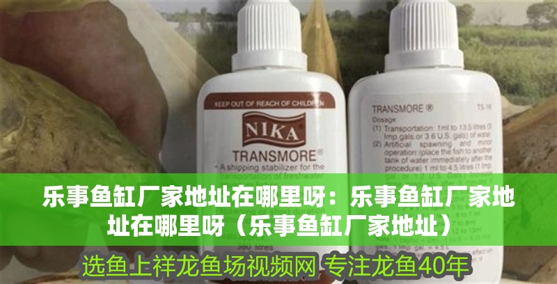 鸚鵡魚和銀龍魚混養(yǎng)怎樣喂食 樂事魚缸廠家地址在哪里呀:樂事魚缸廠家地址在哪里呀(樂事魚缸廠家地址) 觀賞魚百科 樂事魚缸廠家地址在哪里呀:樂事魚缸廠家地址在哪里呀(樂事魚缸廠家地址) 樂事魚缸廠家地址在哪里呀:樂事魚缸廠家地址在哪里呀(樂事魚缸廠家地址) 觀賞魚百科