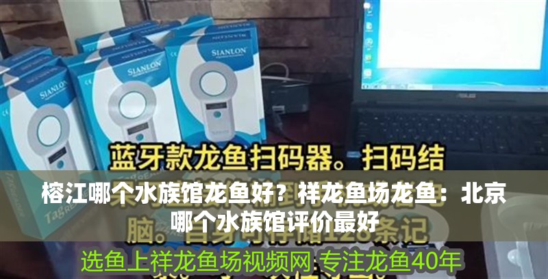 榕江哪個水族館龍魚好？祥龍魚場龍魚：北京哪個水族館評價最好