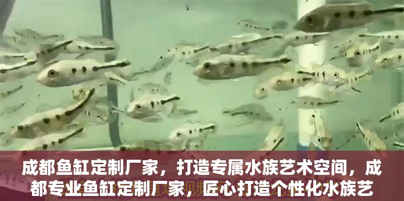 成都魚缸定制廠家，打造專屬水族藝術空間，成都專業魚缸定制廠家，匠心打造個性化水族藝術空間