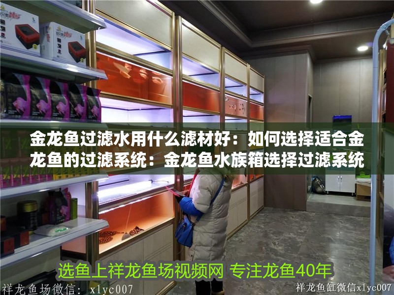 金龍魚過濾水用什么濾材好：如何選擇適合金龍魚的過濾系統：金龍魚水族箱選擇過濾系統