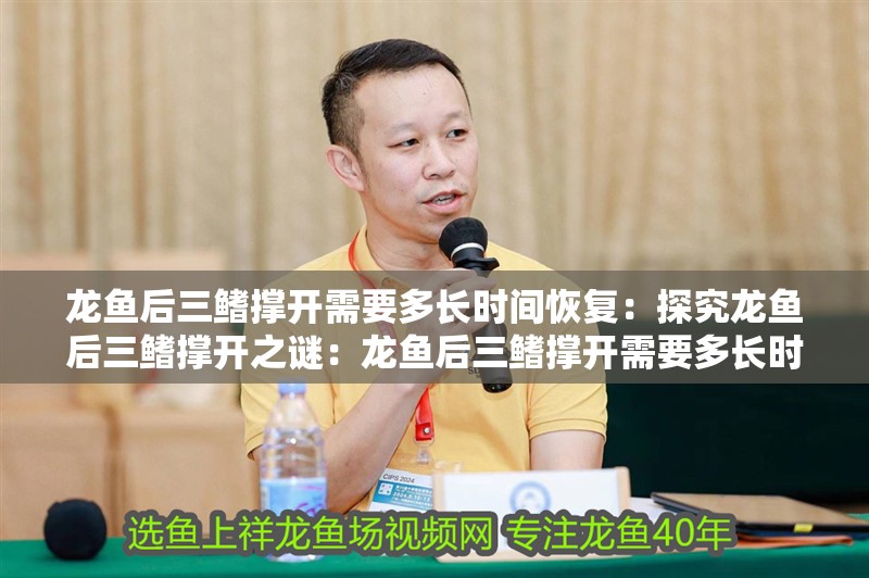 龍魚后三鰭撐開需要多長時間恢復：探究龍魚后三鰭撐開之謎：龍魚后三鰭撐開需要多長時間呢？