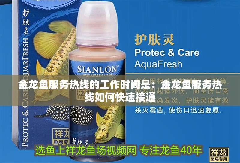 金龍魚服務熱線的工作時間是：金龍魚服務熱線如何快速接通