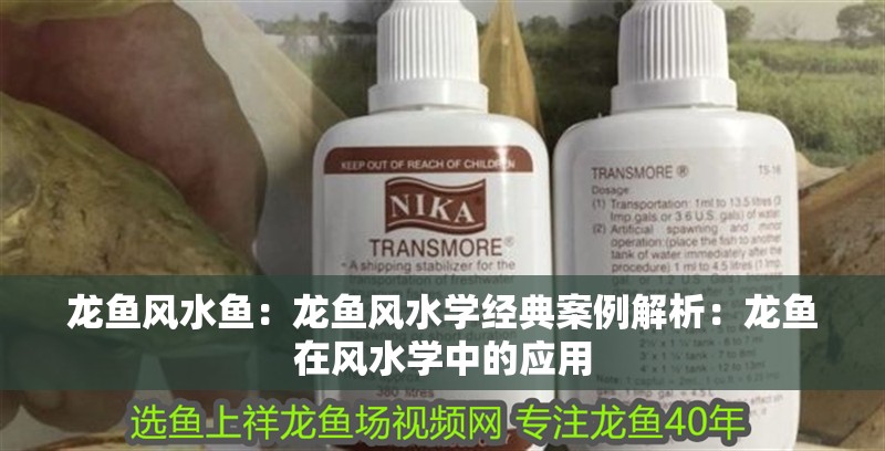 龍魚風(fēng)水魚：龍魚風(fēng)水學(xué)經(jīng)典案例解析：龍魚在風(fēng)水學(xué)中的應(yīng)用