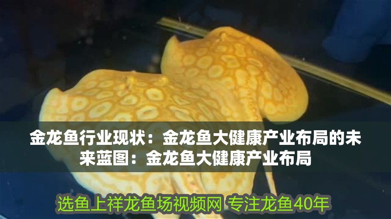 金龍魚行業現狀：金龍魚大健康產業布局的未來藍圖：金龍魚大健康產業布局