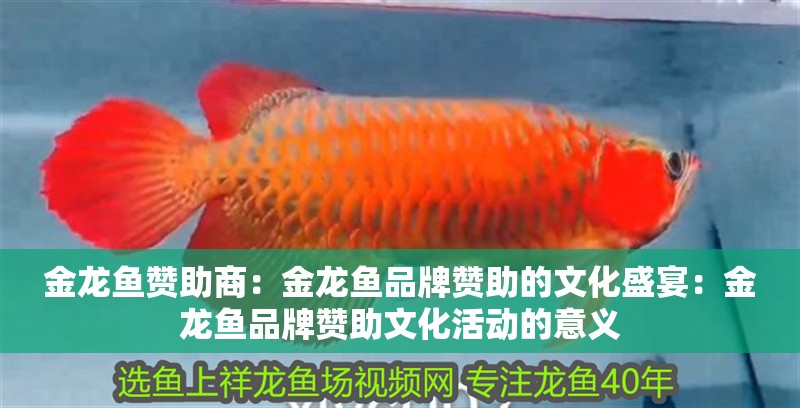 金龍魚贊助商：金龍魚品牌贊助的文化盛宴：金龍魚品牌贊助文化活動的意義