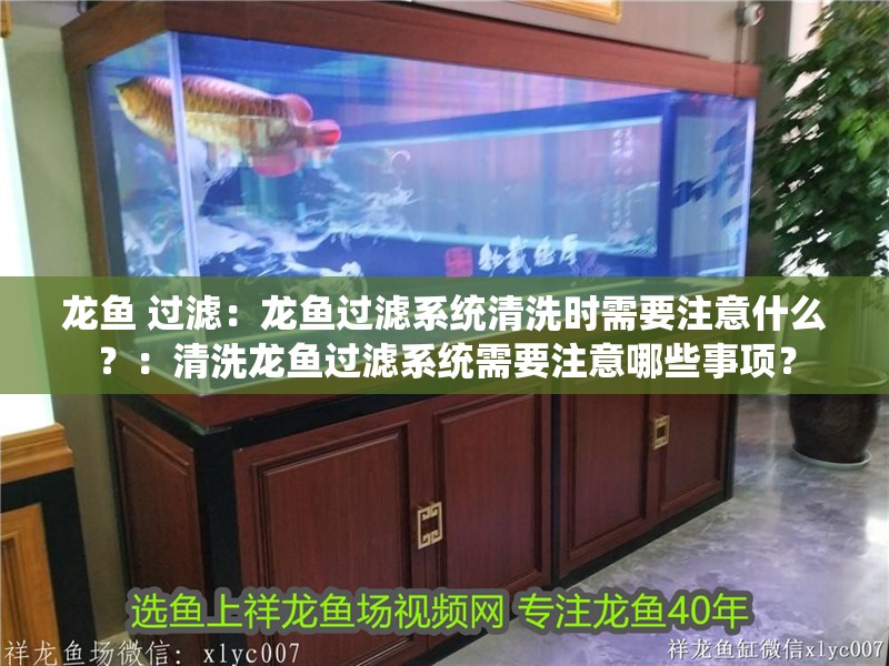 龍魚 過濾：龍魚過濾系統清洗時需要注意什么？：清洗龍魚過濾系統需要注意哪些事項？