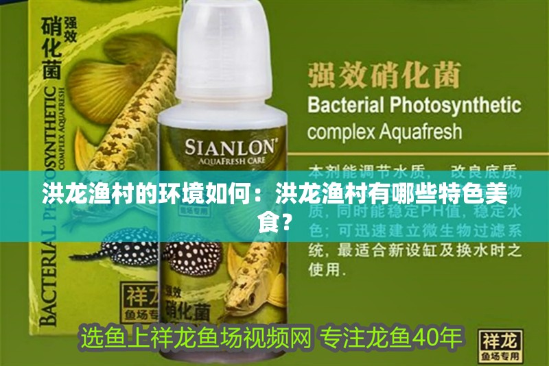 洪龍漁村的環(huán)境如何：洪龍漁村有哪些特色美食？