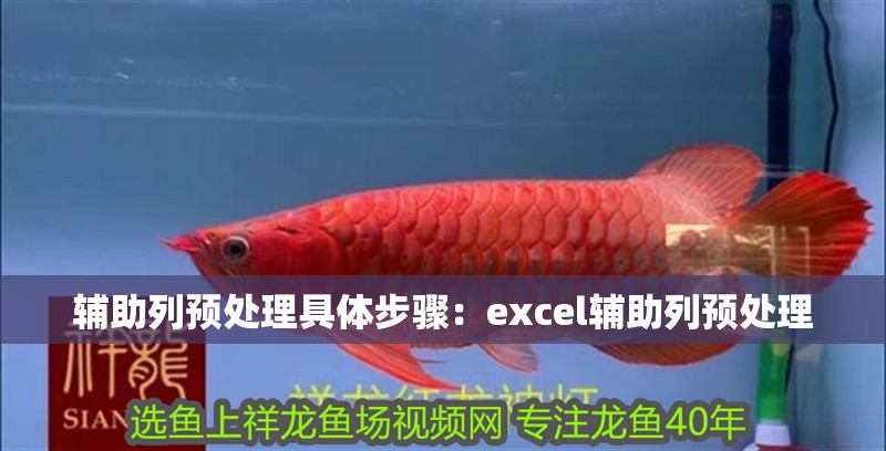 輔助列預(yù)處理具體步驟：excel輔助列預(yù)處理