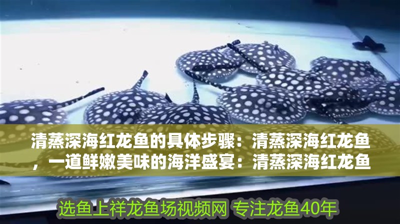 清蒸深海紅龍魚的具體步驟：清蒸深海紅龍魚，一道鮮嫩美味的海洋盛宴：清蒸深海紅龍魚