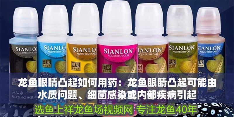 給大魚缸換水的作文:體驗給大魚缸換水的樂趣:體驗給大魚缸換水:給大魚缸換水的作文 龍魚眼睛凸起如何用藥:龍魚眼睛凸起可能由水質問題、細菌感染或內部疾病引起 龍魚百科 龍魚眼睛凸起如何用藥:龍魚眼睛凸起可能由水質問題、細菌感染或內部疾病引起 龍魚眼睛凸起如何用藥:龍魚眼睛凸起可能由水質問題、細菌感染或內部疾病引起 龍魚百科