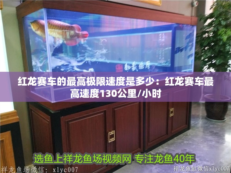 紅龍賽車的最高極限速度是多少：紅龍賽車最高速度130公里/小時