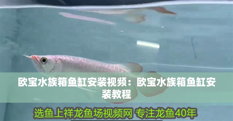 歐寶水族箱魚缸安裝視頻：歐寶水族箱魚缸安裝教程
