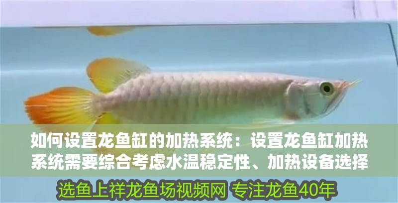 詳細閱讀:如何設置龍魚缸的加熱系統:設置龍魚缸加熱系統需要綜合考慮水溫穩定性、加熱設備選擇及安全防護 如何設置龍魚缸的加熱系統:設置龍魚缸加熱系統需要綜合考慮水溫穩定性、加熱設備選擇及安全防護