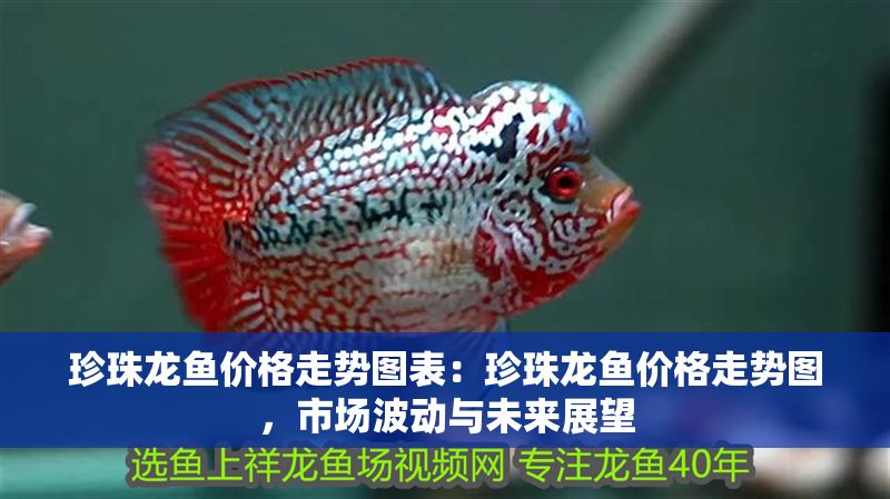 珍珠龍魚價格走勢圖表：珍珠龍魚價格走勢圖，市場波動與未來展望