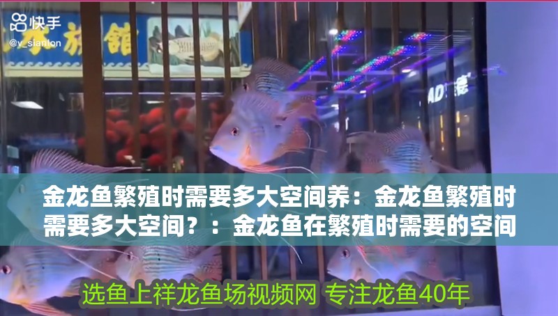 金龍魚繁殖時需要多大空間養：金龍魚繁殖時需要多大空間？：金龍魚在繁殖時需要的空間大小