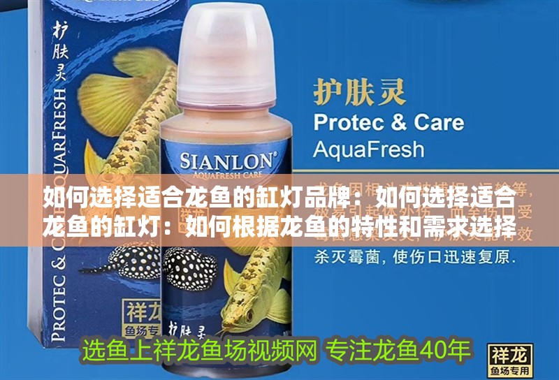 如何選擇適合龍魚的缸燈品牌：如何選擇適合龍魚的缸燈：如何根據(jù)龍魚的特性和需求選擇合適的缸燈