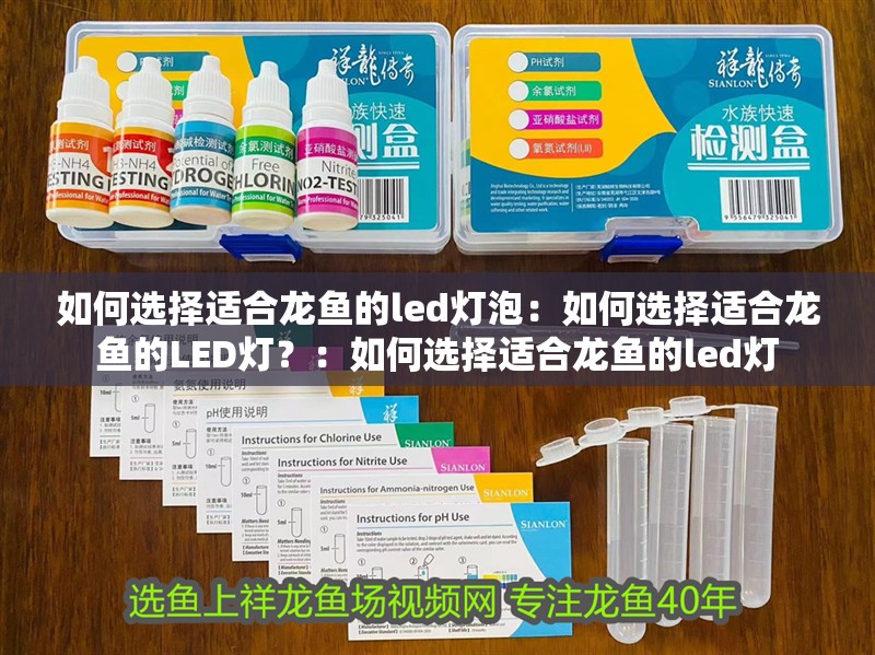 如何選擇適合龍魚的led燈泡：如何選擇適合龍魚的LED燈？：如何選擇適合龍魚的led燈