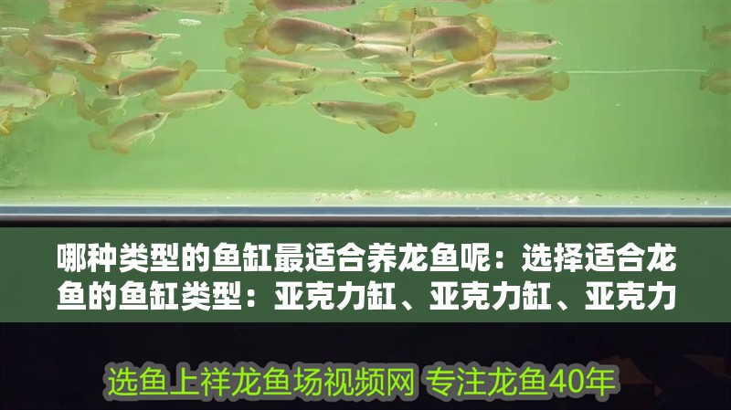 哪種類型的魚(yú)缸最適合養(yǎng)龍魚(yú)呢：選擇適合龍魚(yú)的魚(yú)缸類型：亞克力缸、亞克力缸、亞克力缸、亞克力缸、亞克力缸