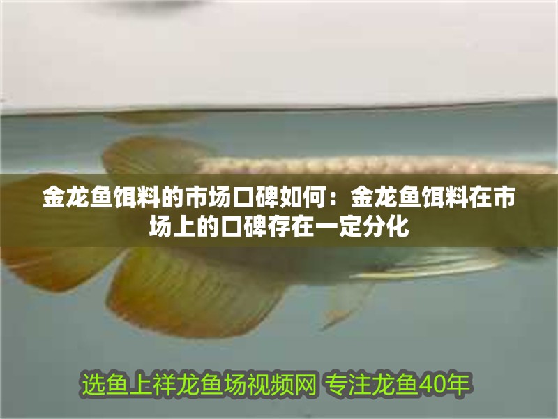 金龍魚餌料的市場口碑如何：金龍魚餌料在市場上的口碑存在一定分化