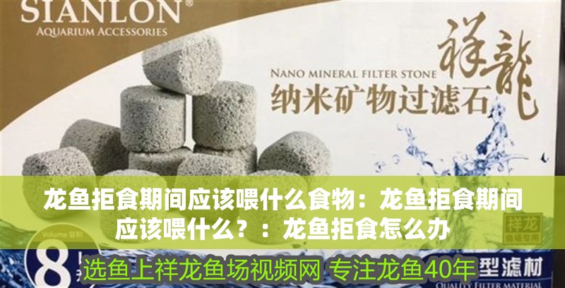 龍魚(yú)拒食期間應(yīng)該喂什么食物：龍魚(yú)拒食期間應(yīng)該喂什么？：龍魚(yú)拒食怎么辦