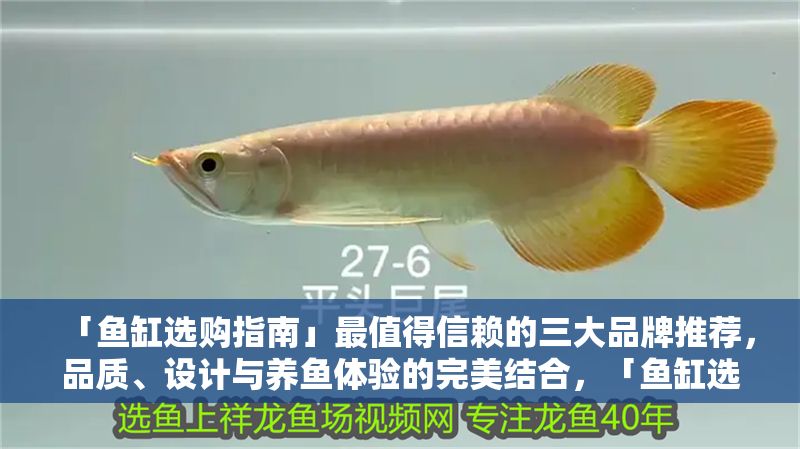 「魚缸選購指南」最值得信賴的三大品牌推薦，品質、設計與養魚體驗的完美結合，「魚缸選購指南，三大信賴品牌推薦，品質設計與養魚體驗兼具」