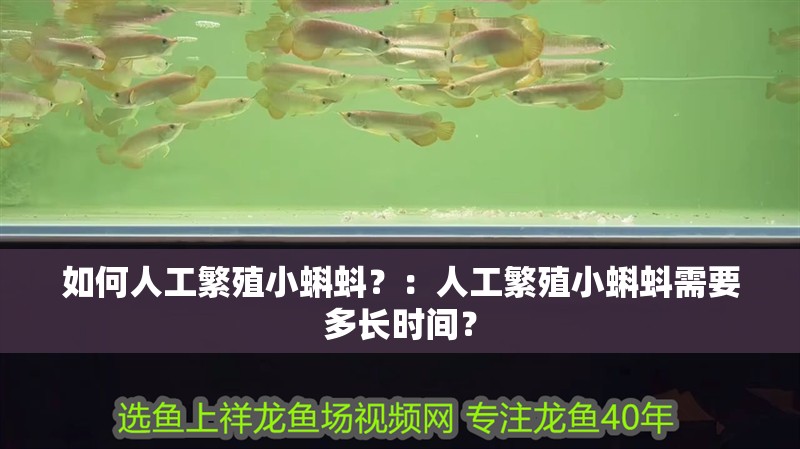 如何人工繁殖小蝌蚪？：人工繁殖小蝌蚪需要多長時(shí)間？