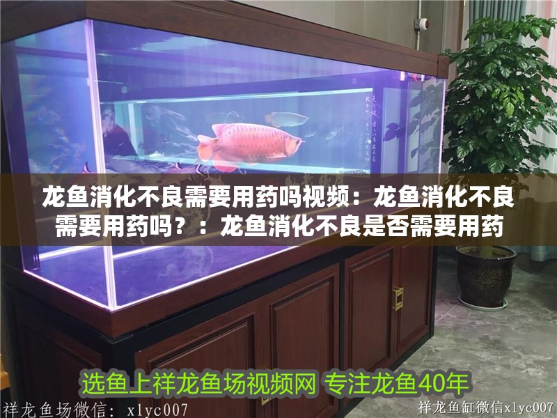 龍魚消化不良需要用藥嗎視頻：龍魚消化不良需要用藥嗎？：龍魚消化不良是否需要用藥