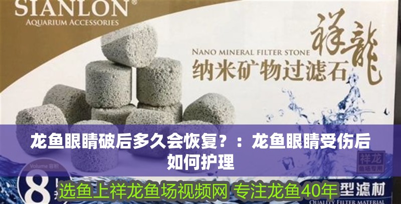 龍魚眼睛破后多久會恢復(fù)？：龍魚眼睛受傷后如何護理