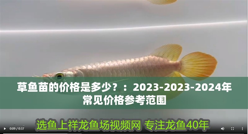 鸚鵡魚(yú)和銀龍魚(yú)混養(yǎng)怎樣喂食 草魚(yú)苗的價(jià)格是多少?:2023-2023-2024年常見(jiàn)價(jià)格參考范圍 龍魚(yú)百科 草魚(yú)苗的價(jià)格是多少?:2023-2023-2024年常見(jiàn)價(jià)格參考范圍 草魚(yú)苗的價(jià)格是多少?:2023-2023-2024年常見(jiàn)價(jià)格參考范圍 龍魚(yú)百科