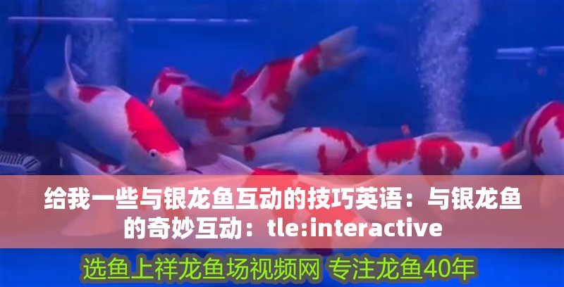 給我一些與銀龍魚互動的技巧英語：與銀龍魚的奇妙互動：tle:interactive