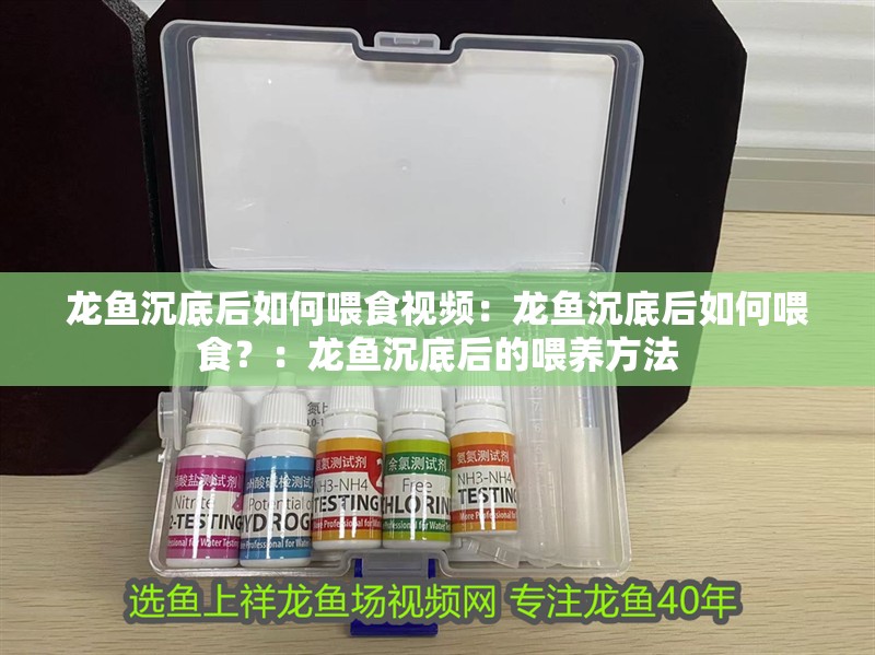 龍魚沉底后如何喂食視頻：龍魚沉底后如何喂食？：龍魚沉底后的喂養方法