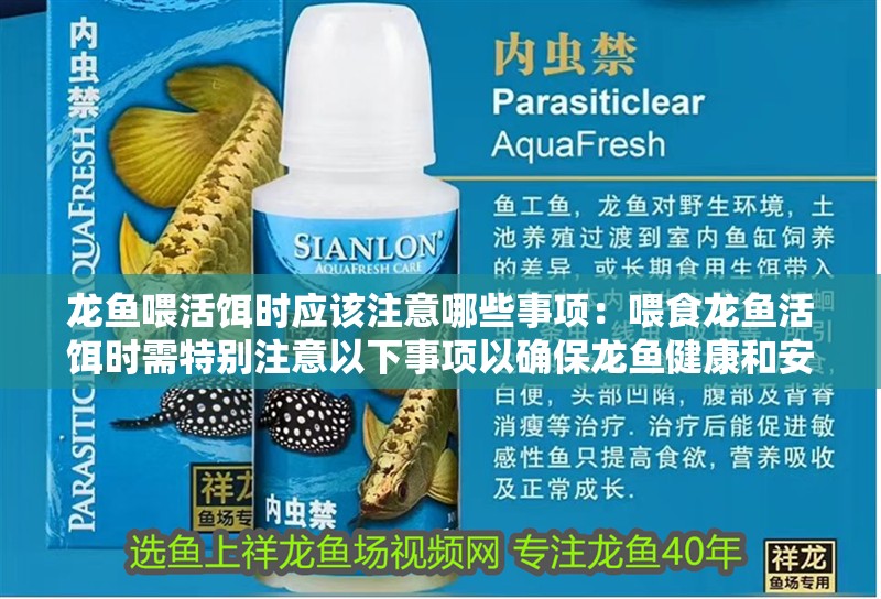 龍魚(yú)喂活餌時(shí)應(yīng)該注意哪些事項(xiàng)：喂食龍魚(yú)活餌時(shí)需特別注意以下事項(xiàng)以確保龍魚(yú)健康和安全