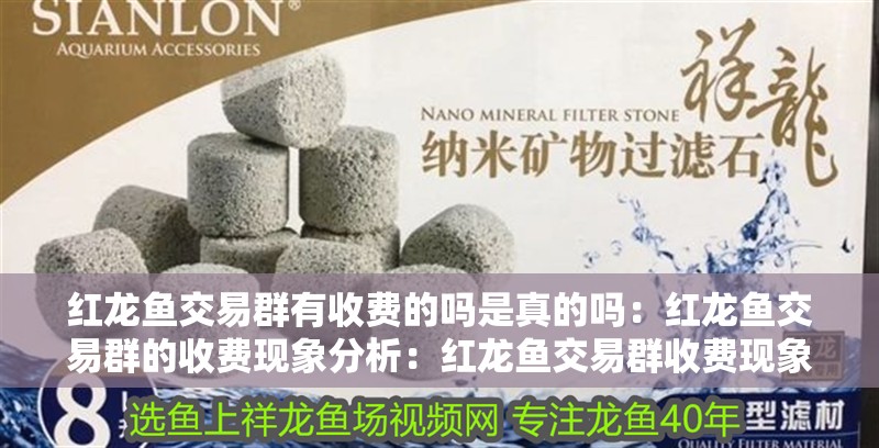 紅龍魚交易群有收費(fèi)的嗎是真的嗎：紅龍魚交易群的收費(fèi)現(xiàn)象分析：紅龍魚交易群收費(fèi)現(xiàn)象的存在收費(fèi)現(xiàn)象是否存在收費(fèi)現(xiàn)象