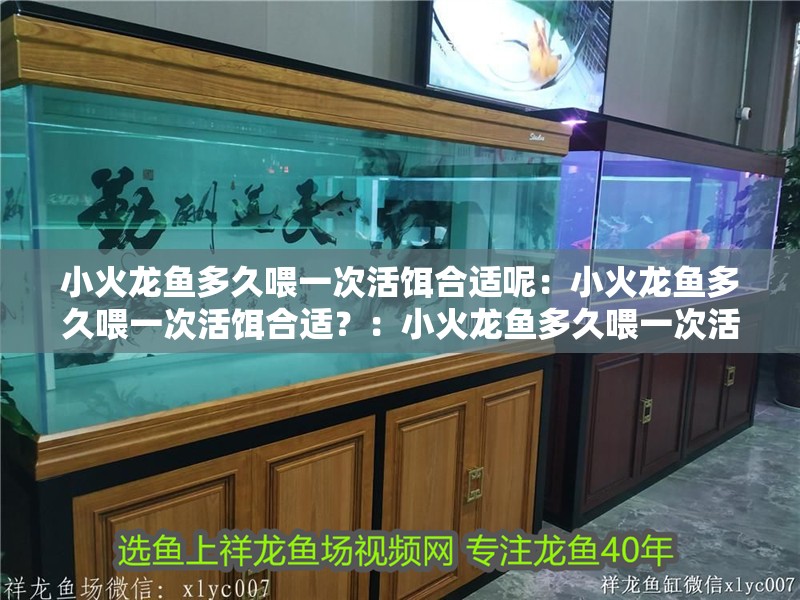 小火龍魚多久喂一次活餌合適呢：小火龍魚多久喂一次活餌合適？：小火龍魚多久喂一次活餌