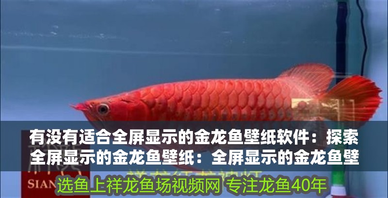 有沒有適合全屏顯示的金龍魚壁紙軟件：探索全屏顯示的金龍魚壁紙：全屏顯示的金龍魚壁紙