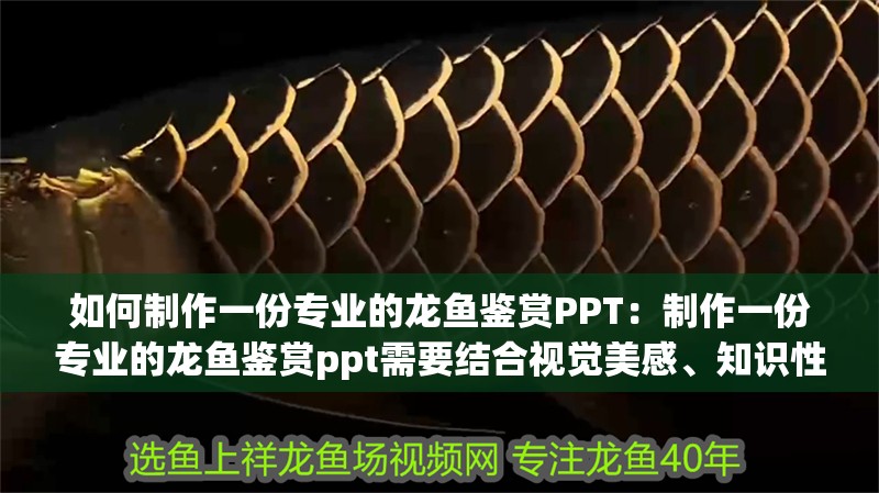 如何制作一份專業的龍魚鑒賞PPT：制作一份專業的龍魚鑒賞ppt需要結合視覺美感、知識性和邏輯性
