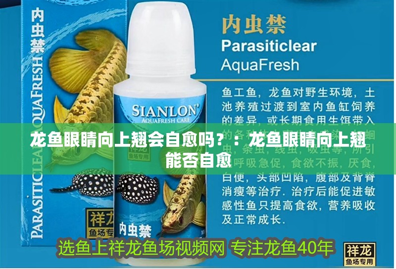龍魚眼睛向上翹會自愈嗎？：龍魚眼睛向上翹能否自愈