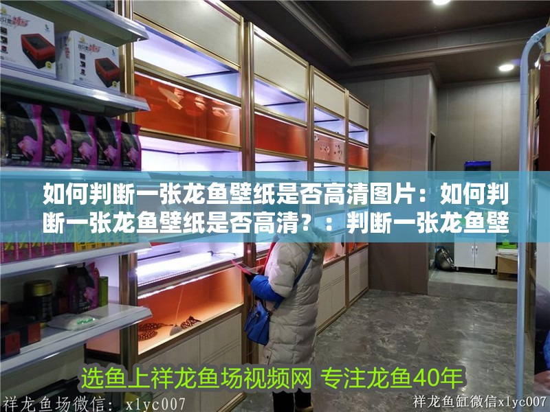 如何判斷一張龍魚壁紙是否高清圖片：如何判斷一張龍魚壁紙是否高清？：判斷一張龍魚壁紙是否高清壁紙是否高清的關鍵因素