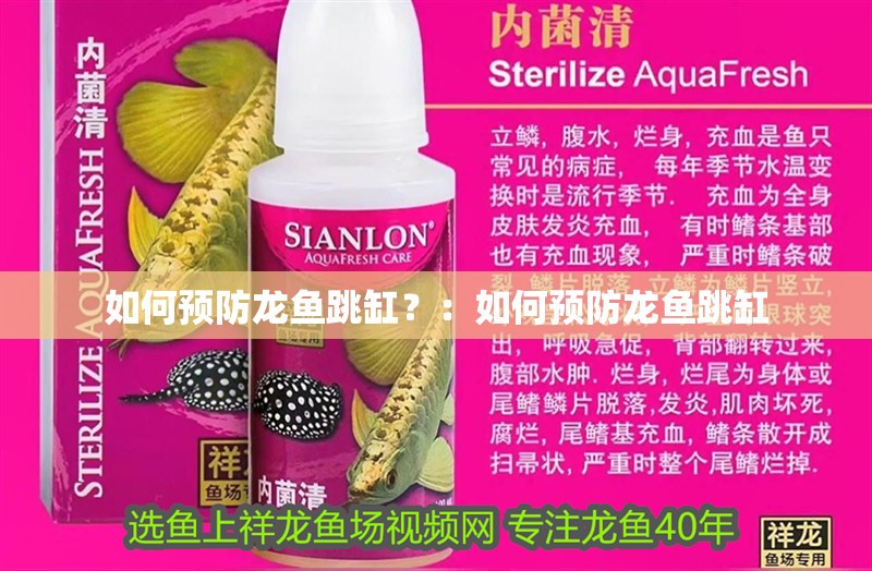 如何預(yù)防龍魚跳缸？：如何預(yù)防龍魚跳缸