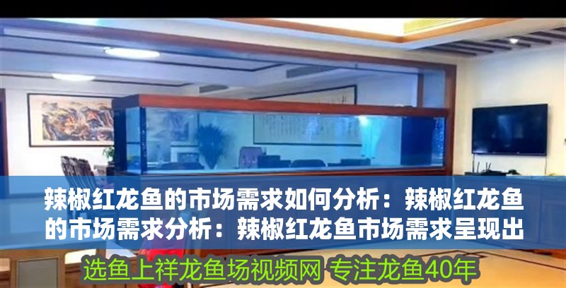 辣椒紅龍魚的市場需求如何分析：辣椒紅龍魚的市場需求分析：辣椒紅龍魚市場需求呈現出穩步上升的趨勢，辣椒紅龍魚市場需求
