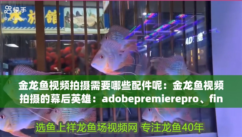 金龍魚視頻拍攝需要哪些配件呢：金龍魚視頻拍攝的幕后英雄：adobepremierepro、finalcutpro、finalcutpro、finalcutpro、finalcutpro