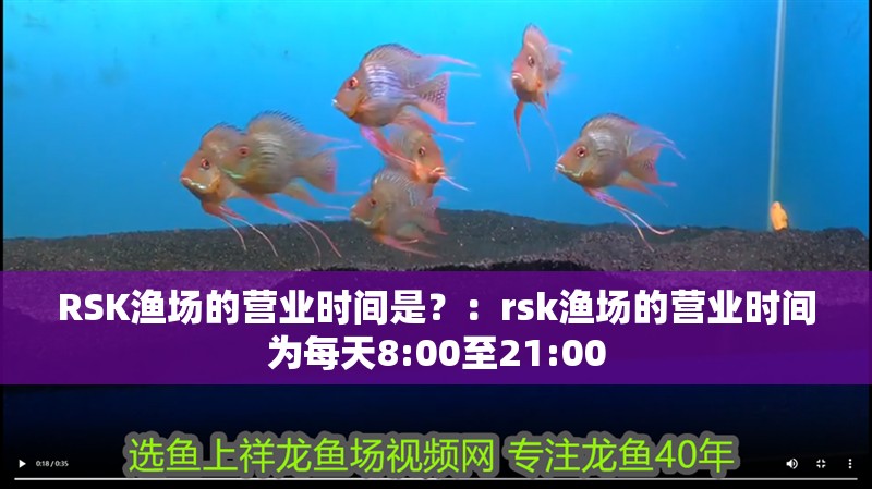RSK漁場的營業時間是？：rsk漁場的營業時間為每天8:00至21:00