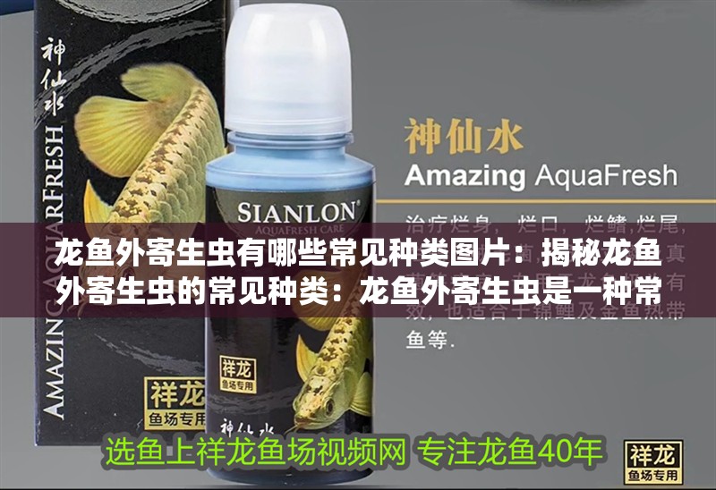 龍魚外寄生蟲有哪些常見種類圖片：揭秘龍魚外寄生蟲的常見種類：龍魚外寄生蟲是一種常見的外寄生蟲及其特點及其特點
