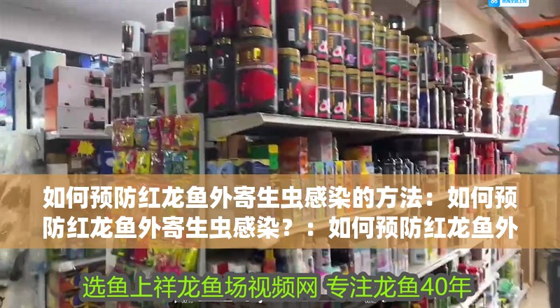 如何預防紅龍魚外寄生蟲感染的方法：如何預防紅龍魚外寄生蟲感染？：如何預防紅龍魚外寄生蟲感染