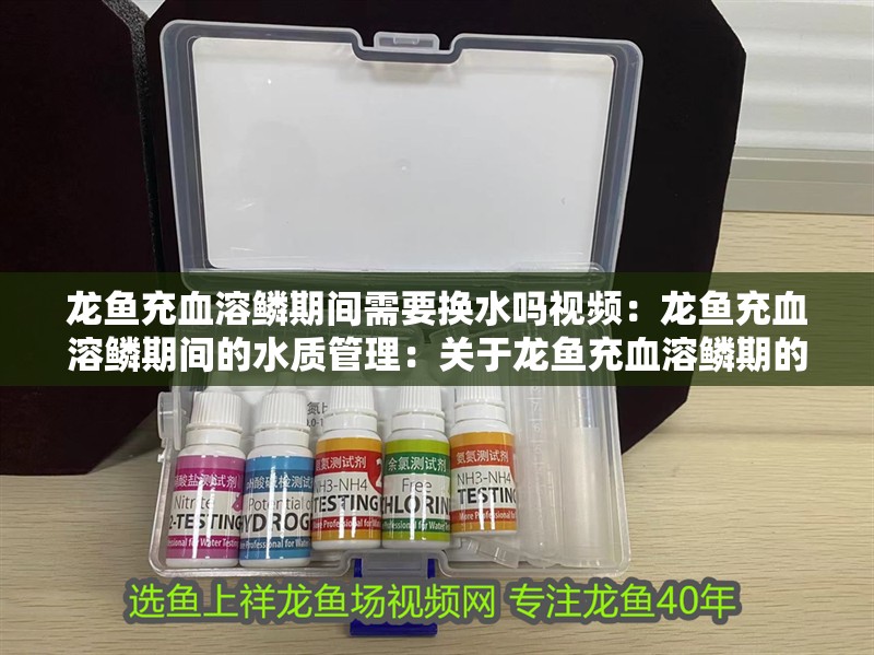 龍魚充血溶鱗期間需要換水嗎視頻：龍魚充血溶鱗期間的水質管理：關于龍魚充血溶鱗期的一些建議