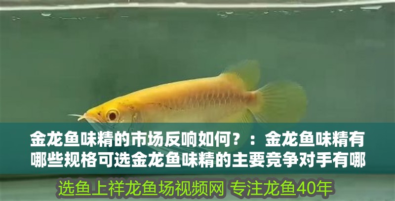 金龍魚味精的市場(chǎng)反響如何？：金龍魚味精有哪些規(guī)格可選金龍魚味精的主要競(jìng)爭(zhēng)對(duì)手有哪些