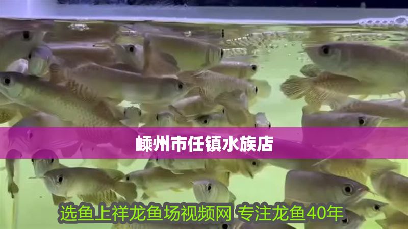 嵊州市任鎮(zhèn)水族店