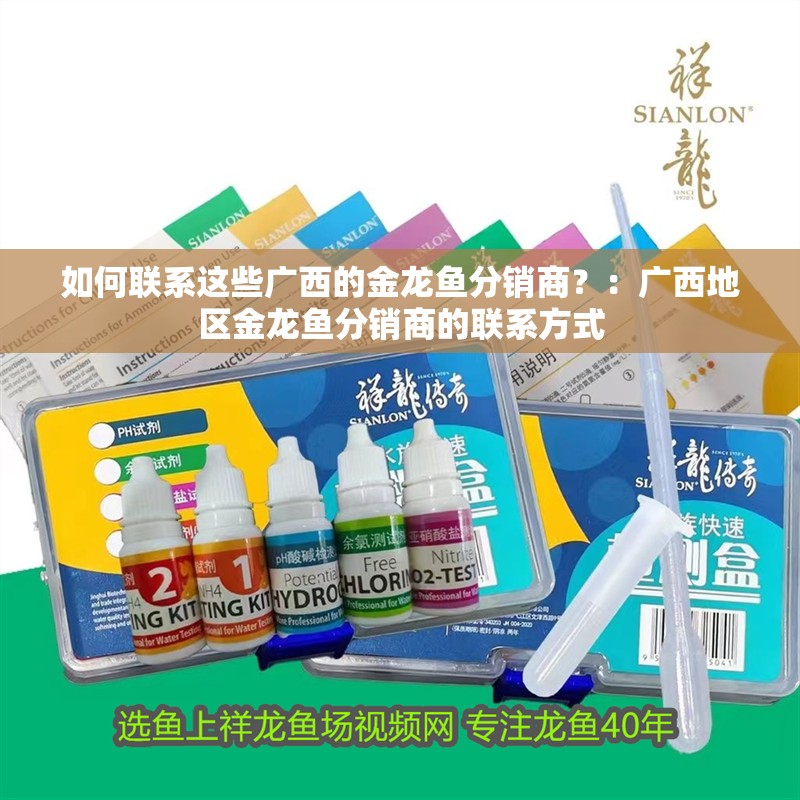 如何聯系這些廣西的金龍魚分銷商？：廣西地區金龍魚分銷商的聯系方式