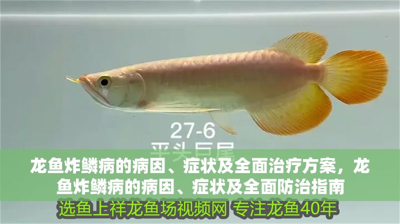 龍魚炸鱗病的病因、癥狀及全面治療方案，龍魚炸鱗病的病因、癥狀及全面防治指南