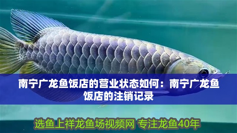 南寧廣龍魚飯店的營業狀態如何：南寧廣龍魚飯店的注銷記錄